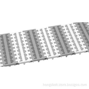 Food and Beverage Industry Modular Conveyor Belt